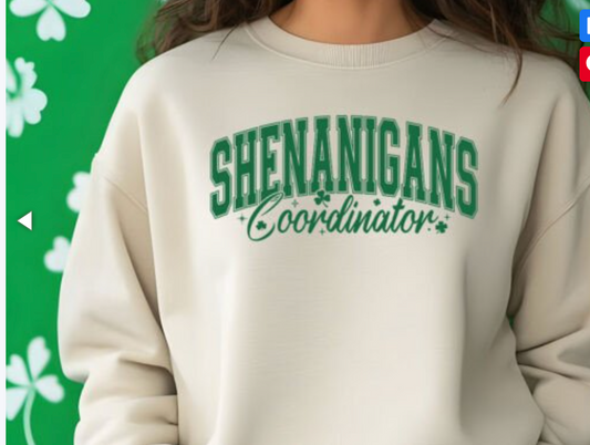 Shenanigans Coordinator Tee